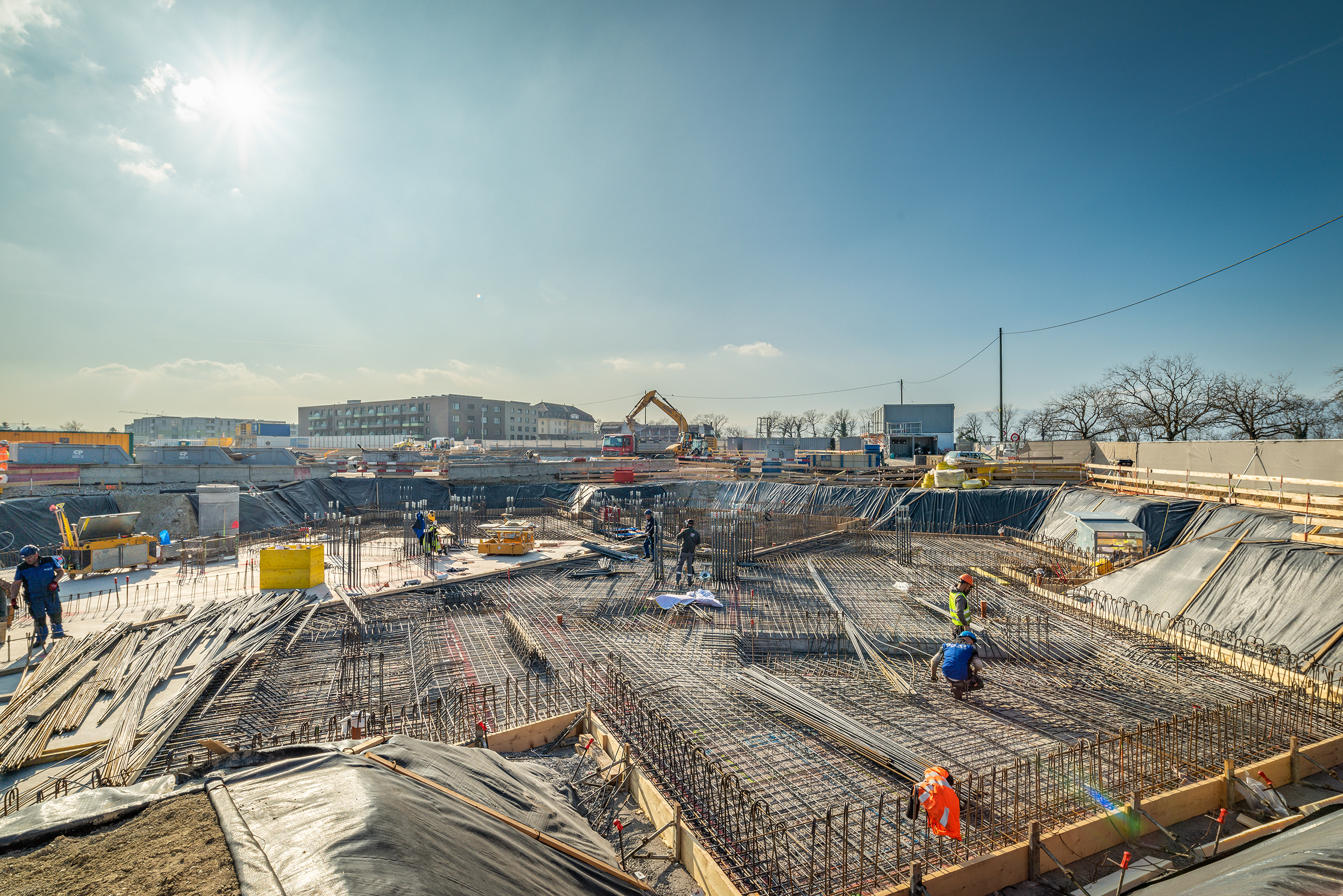 6 mars 2023 – Messicoles © Simon Chamay / SC-PHOTO