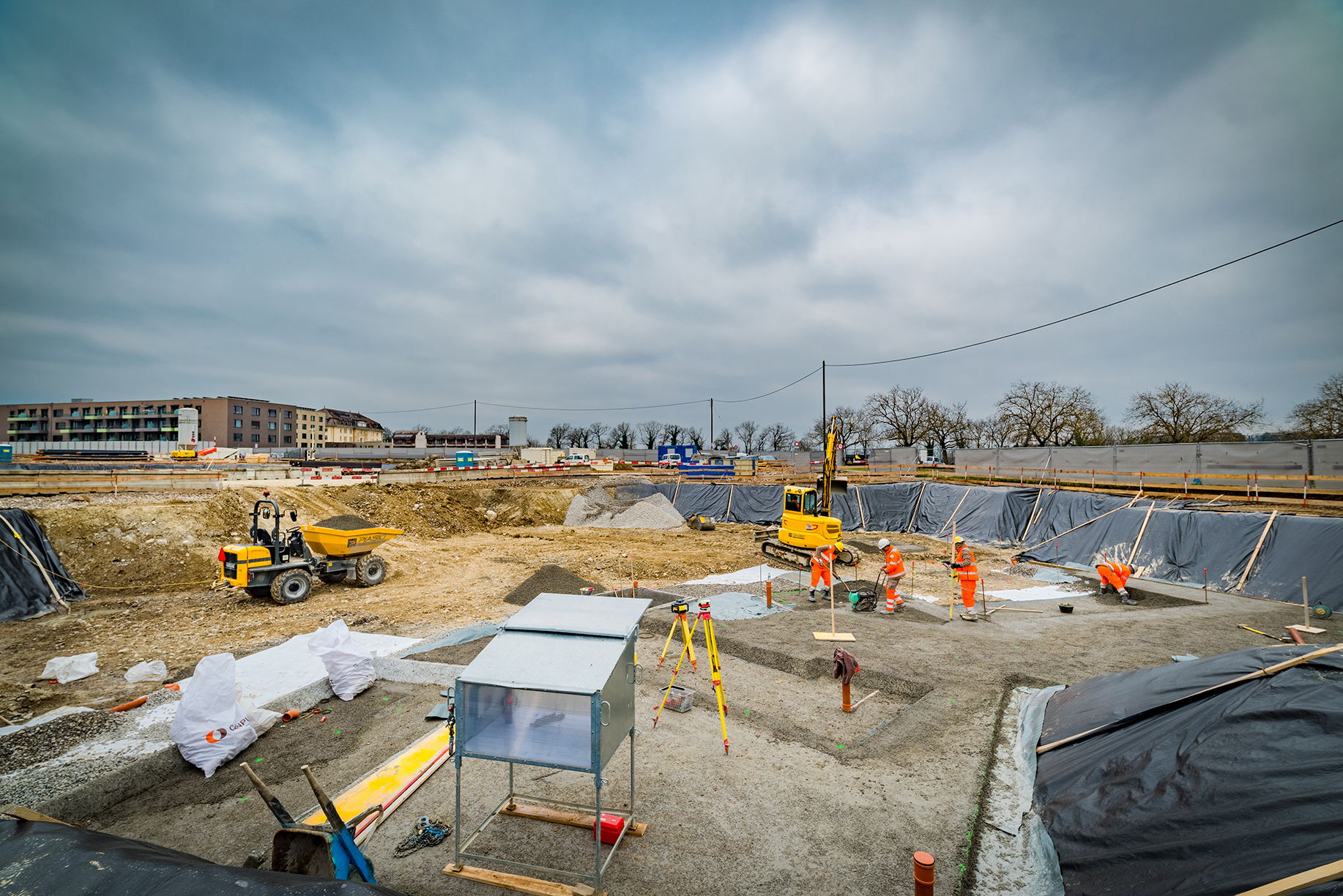 31 janvier 2023 – Messicoles