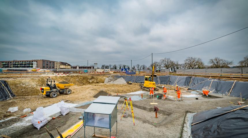 31 janvier 2023 – Messicoles